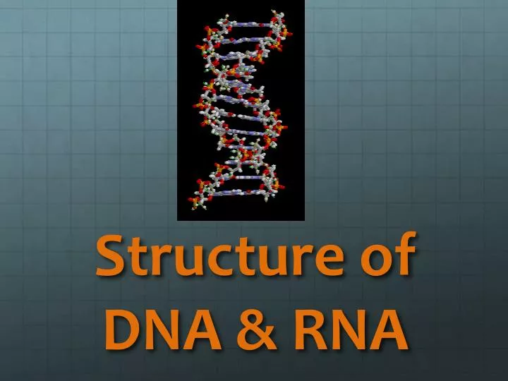 structure of dna rna