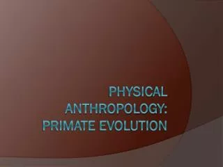 Physical Anthropology: primate evolution