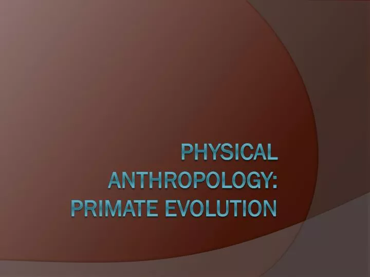 physical anthropology primate evolution