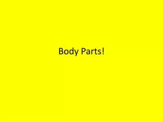 Body Parts!