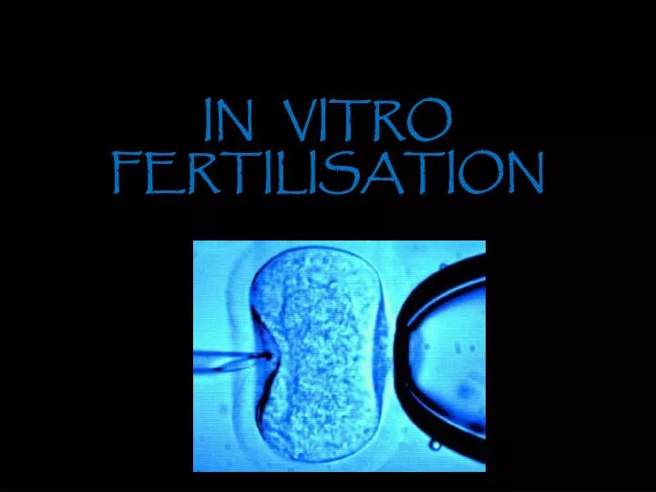 in vitro fertilisation