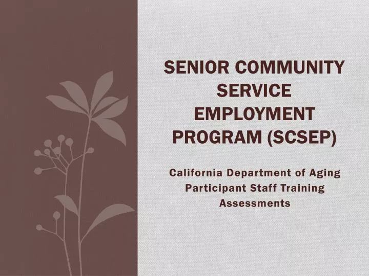 senior community service employment program scsep