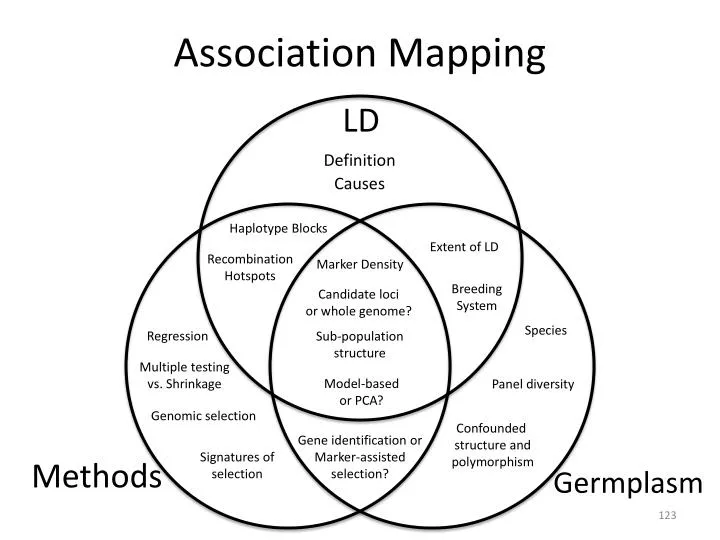 association mapping