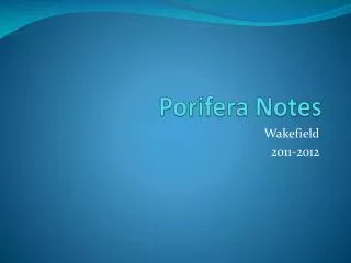 Porifera Notes