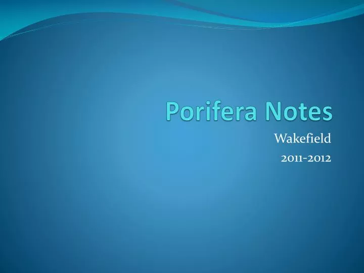 porifera notes