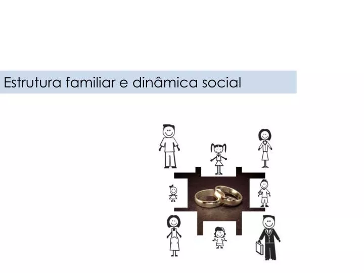 estrutura familiar e din mica social