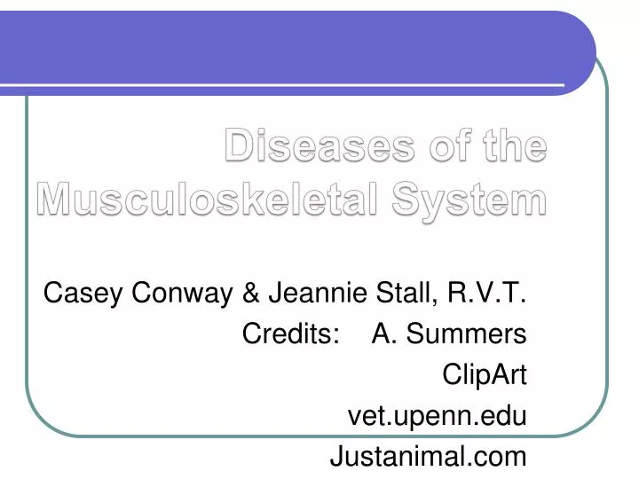 diseases of the musculoskeletal system