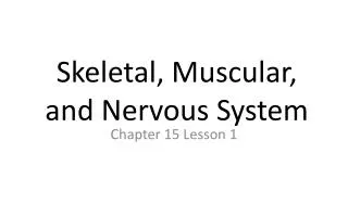 Skeletal, Muscular, and Nervous System