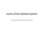 Joints of the Skeletal System - slide 1
