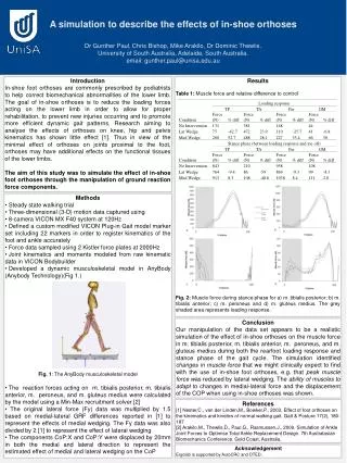 Results Table 1: Muscle force and relative difference to control