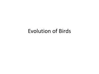 Evolution of Birds
