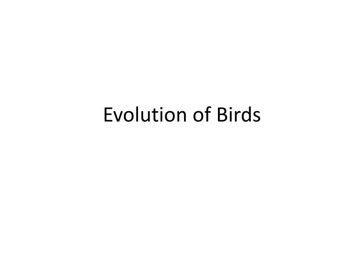 evolution of birds