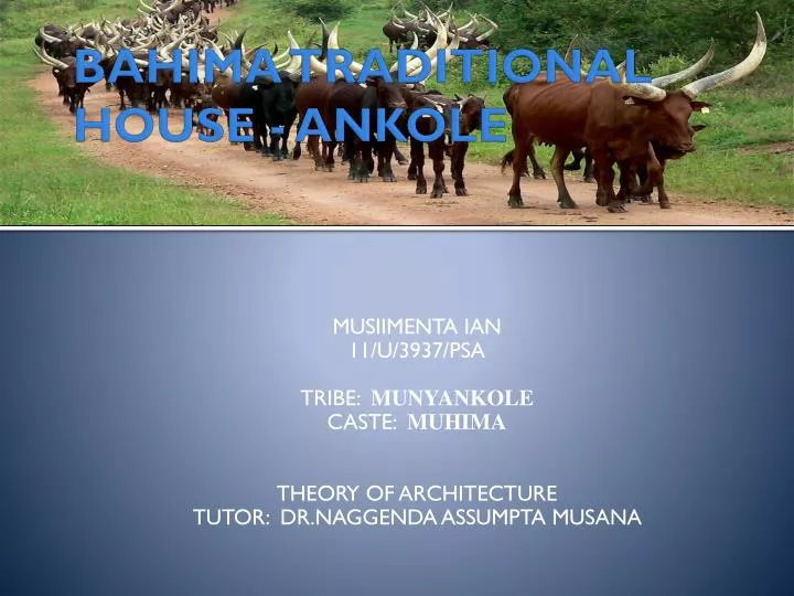 bahima traditional house ankole