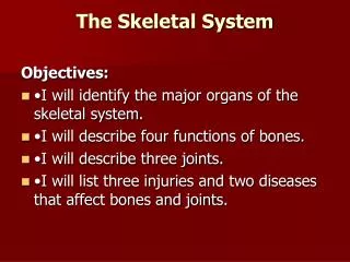 The Skeletal System