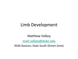 Limb Development