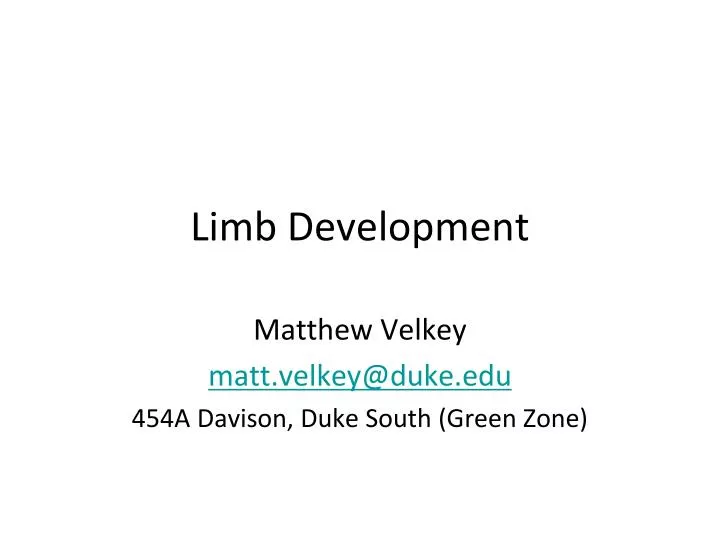 limb development