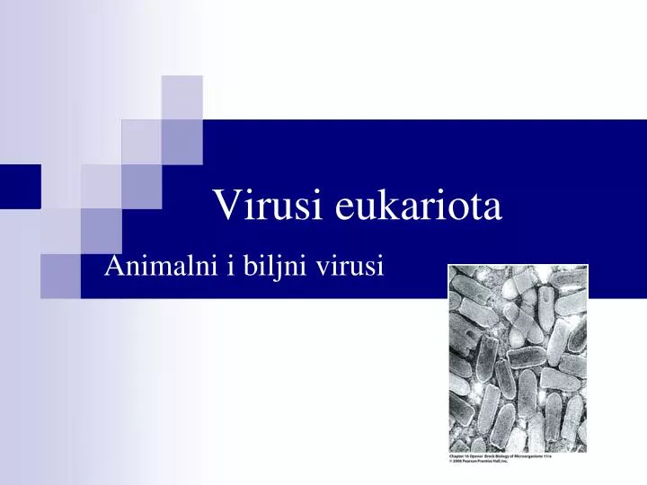 virusi eukariota