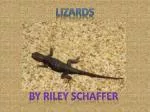 By riley schaffer - slide 1