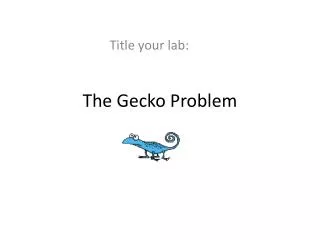 The Gecko Problem