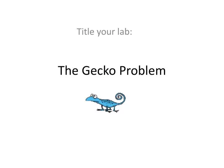 the gecko problem