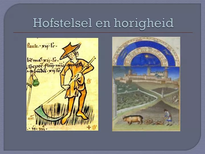 hofstelsel en horigheid