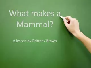 What makes a Mammal?