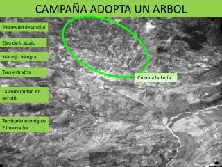 campa a adopta un arbol