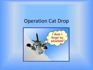 Operation Cat Drop