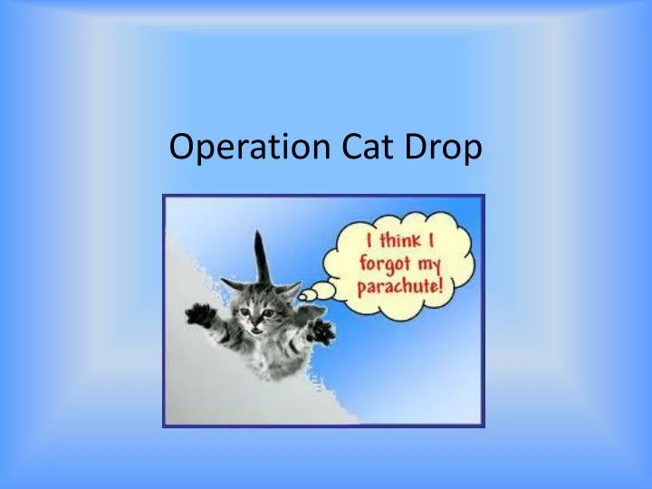 operation cat drop