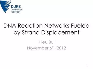 DNA Reaction Networks Fueled by Strand Displacement