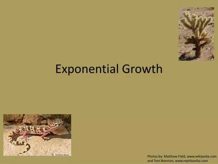 exponential growth