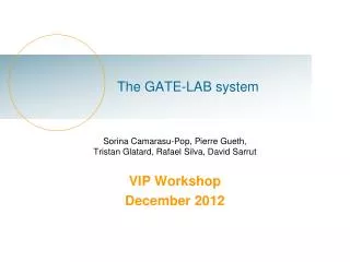 The GATE-LAB system