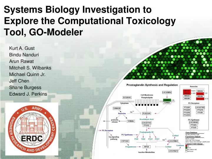 systems biology investigation to explore the computational toxicology tool go modeler