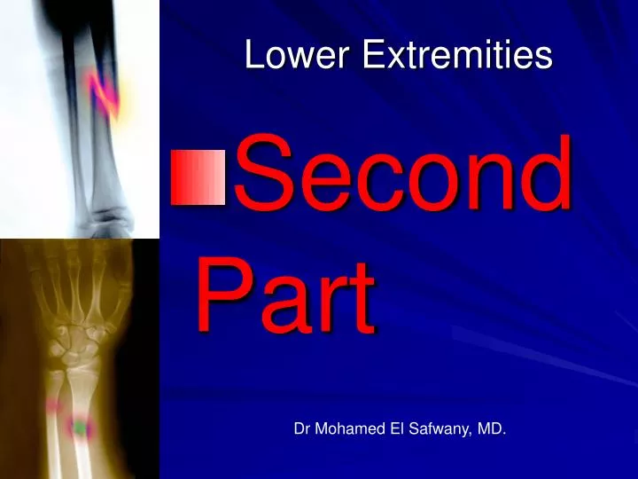 lower extremities
