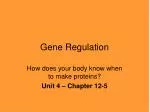 Gene Regulation - slide 1