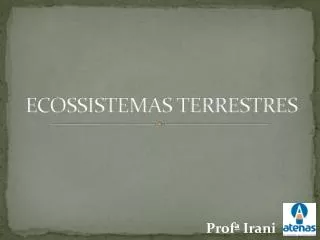 ecossistemas terrestres