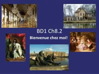bd1 ch8 2