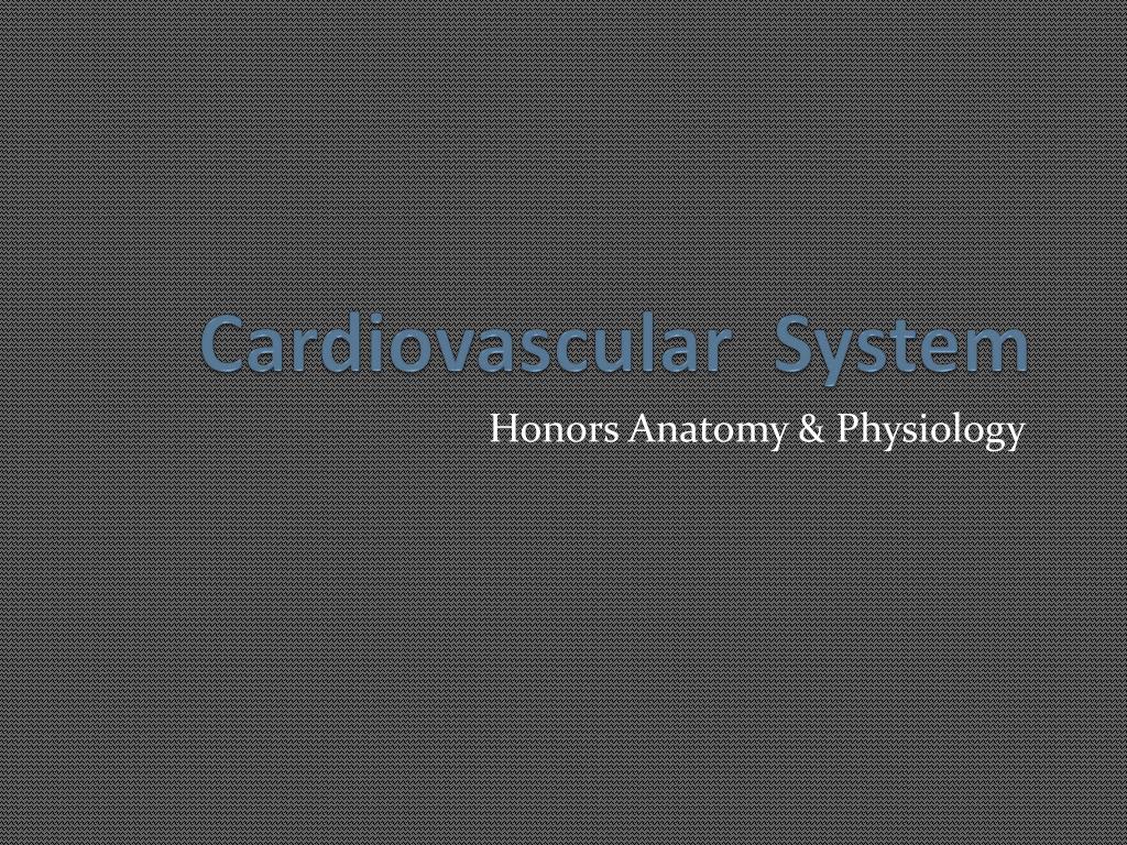 PPT - Cardiovascular System PowerPoint Presentation, free download - ID ...