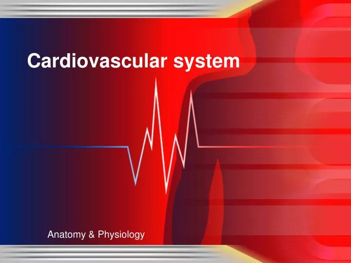 cardiovascular system