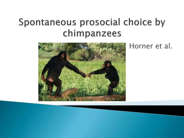 spontaneous prosocial choice by chimpanzees