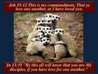 Jn 13:35 &quot;By this all will know that you are My disciples, if you have love for one another.&quot;