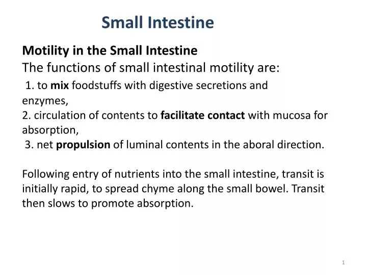 PPT - Motility in the Small Intestine The functions of small intestinal ...