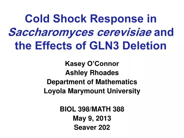 cold shock response in saccharomyces cerevisiae and the effects of gln3 deletion