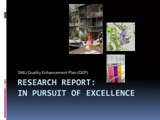 Research Report: In Pursuit of Excellence