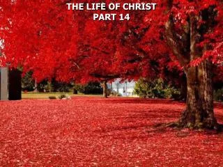 THE LIFE OF CHRIST PART 14