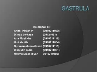 gastrula