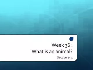 Week 36 : What is an animal?