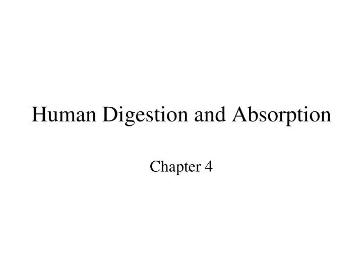 human digestion and absorption