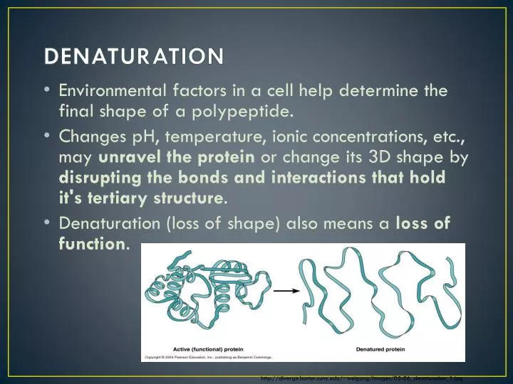 denaturation