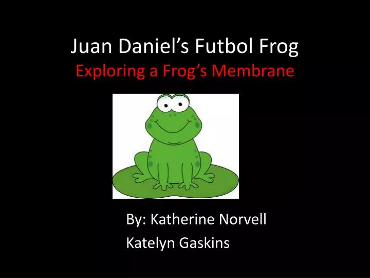 juan daniel s futbol frog exploring a frog s membrane